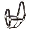 Perri's Padded Leather Halter -Equestrian Supply Store 190 blk black ss l 36512 32306.1527306333