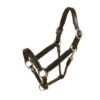 Tory Padded Leather Halter With Nickel Hardware -Equestrian Supply Store 196 ni7e1 38643 22276.1527305564