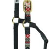 Weaver Leather Weaver Aztec Nylon Halter 1 Weaver Leather Weaver Aztec Nylon Halter -Equestrian Supply Store 356781p22 weaver aztec halter crimson 79904.1544297786