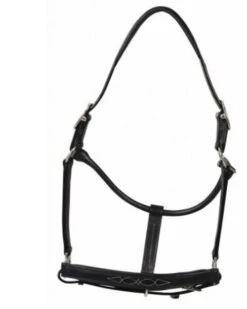 HDR Pony Fancy Padded Leather Halter -Equestrian Supply Store 5019halterblack 80901 35602.1618602106