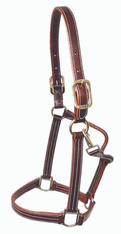 Mary's British Leather Halter With Solid Brass Hardware 10 Mary's British Leather Halter With Solid Brass Hardware -Equestrian Supply Store 5100britishhaltercopy 85659 13800.1685668117