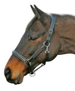 HDR Stress-Free Shaped Crown Halter -Equestrian Supply Store 5218 black 27864 26881.1527298209