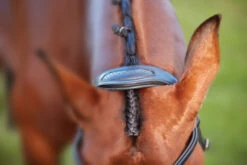 Collegiate ComfiTec Training Bridle -Equestrian Supply Store 811145 ComfiTec Training Crown Detail 53744.1588094691