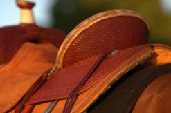 Circle Y Barton Select Rancher Saddle -Equestrian Supply Store Barton Ranch Rear Skirting 15051.1600205555