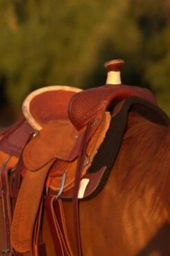 Circle Y Barton Select Rancher Saddle -Equestrian Supply Store Barton Ranch Right 36019.1600205566