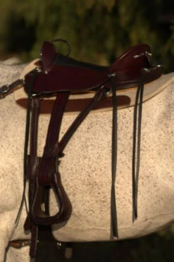 Circle Y Julie Goodnight Cascade Crossover Trail Saddle 1753 -Equestrian Supply Store Cascade Left Side 39422.1600203383