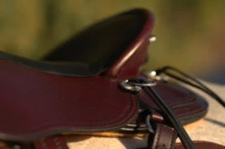 Circle Y Julie Goodnight Cascade Crossover Trail Saddle 1753 -Equestrian Supply Store Cascade Skirt 05106.1600203438