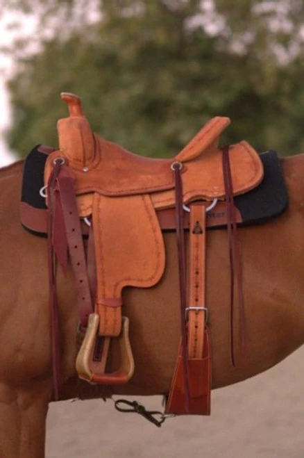 Circle Y Comal All Around Saddle 4 Circle Y Comal All Around Saddle - Image 2