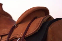 Circle Y Comal All Around Saddle 9 Circle Y Comal All Around Saddle -Equestrian Supply Store Comal All Around Skirt 42444.1600205963