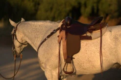 High Horse Highbank Endurance Saddle By Circle Y -Equestrian Supply Store HH Highback Left Profile on a horse 30277.1600209479