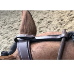 Jump'in Patrick Training Aid -Equestrian Supply Store Patrick Training Aid havana poll jumpin 64436.1645560092