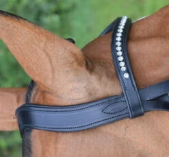 KL Italia Prix Snaffle Bridle -Equestrian Supply Store Prix dressage bridle crown detail 09276.1607478291