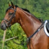 Stubben Wide Elastic Breastplate With Running Attachment -Equestrian Supply Store STU 10704 ElasticRunningBreastplate 88586.1558039998