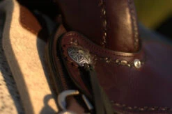 Circle Y Salt River Flex2 Trail Saddle 1667 11 Circle Y Salt River Flex2 Trail Saddle 1667 -Equestrian Supply Store Salt River Concho 72323.1600203795