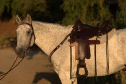 Circle Y Salt River Flex2 Trail Saddle 1667 12 Circle Y Salt River Flex2 Trail Saddle 1667 -Equestrian Supply Store Salt River Left Profile on a horse 71261.1600203852
