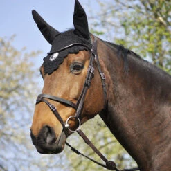 In Horse We Trust Bridle Evolution -Equestrian Supply Store Soft T 4 Evolution on Horse ANGLE 13975.1589307265