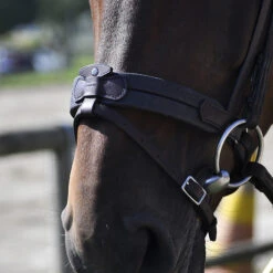 In Horse We Trust Soft T Contact Noseband W/ Flash -Equestrian Supply Store Soft T Contact 2 08049.1658868277