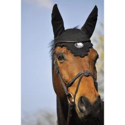 In Horse We Trust Bridle Evolution -Equestrian Supply Store Soft T Evolution on Horse FRONT 75545.1589307280