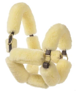 Ovation Sheepskin Pony Shipping Halter -Equestrian Supply Store aaaaaaaerk 03486 25746.1527309291