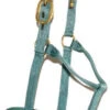 Big D Nylon Draft Halter - Snap + Adjustable Chin -Equestrian Supply Store aaaaaaayly 53959 88450.1649965247