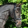 Black Oak Larkspur Snaffle Bridle