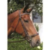 Nunn Finer Adjustable Lever Noseband -Equestrian Supply Store adjustable lever noseband nunn finer 79043.1587245295
