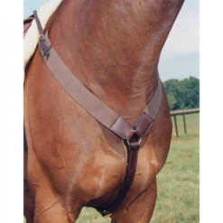 Nunn Finer All Purpose Elastic Breastplate -Equestrian Supply Store all purpose elastic breastplate havana nunn finer 45483.1587246212