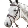 Prestige FS Anatomic Bridle With Flash -Equestrian Supply Store anatomic flash bridle fs tobacco E141 prestige 62090.1568914769