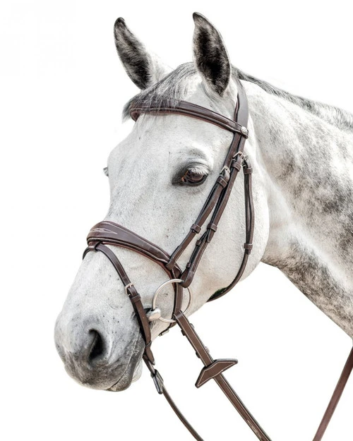 Prestige FS Anatomic Bridle With Flash 3 Prestige FS Anatomic Bridle With Flash