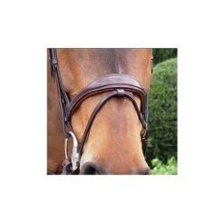 Dy'on Anatomic Flash Noseband Bridle -Equestrian Supply Store anatomic flash noseband bridle nose dyon 56014.1610837790