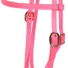 Berlin Beta Biothane Browband Headstall 1 Berlin Beta Biothane Browband Headstall -Equestrian Supply Store apizavu2g 63387 56161.1527297811