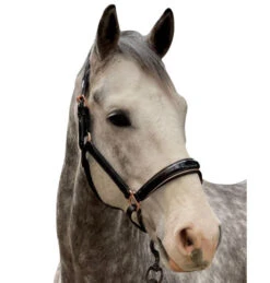 Halter Ego Aurelia Rose Gold Halter -Equestrian Supply Store aurelia black pt rs gold halter ego 47724.1682994359