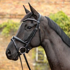 Passier Balance Snaffle Bridle -Equestrian Supply Store balance snaffle black lifestyle 831 passier 42603.1665086485