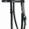 Circle Y Stitched Basic Brow Headstall 1 Circle Y Stitched Basic Brow Headstall -Equestrian Supply Store basic stitched brow headstall black 0125 circle y 58733.1600200895