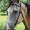 Circle Y Vibrant Infinity Beaded Brow Headstall -Equestrian Supply Store bead inifinity color brow hs multi lifestyle X0223 4069 circle y 68489.1666373225