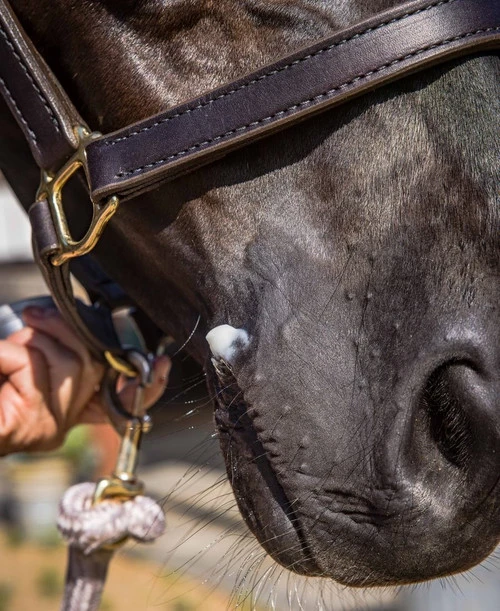 Bens Bit Butter 3 Bens Bit Butter