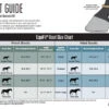 EquiFit AmpTeq Hind Boots With Color Binding -Equestrian Supply Store bootchart 06375 38452.1527298954