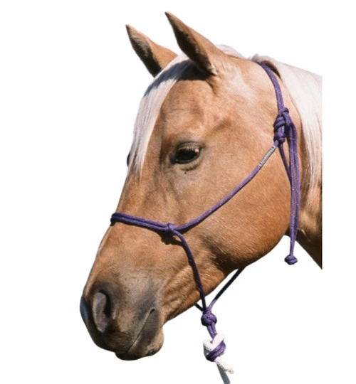 Double Diamond Buck Brannaman 124 Rope Halter 5 Double Diamond Buck Brannaman 124 Rope Halter - Image 3
