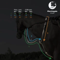 In Horse We Trust C-Cure Elastic Running Martingale -Equestrian Supply Store c cure elastic running martingale measure ihwt 12166.1608756538