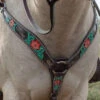 Circle Y Cactus Flower Breast Collar -Equestrian Supply Store cactus flower breast collar horse 1000 23 SC circle y 73083.1613591811
