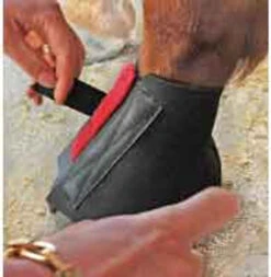 Cavallo Pastern Wraps -Equestrian Supply Store cavallo pastern wrap 39 81342 20974.1527299160