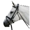 Waldhausen Chambon -Equestrian Supply Store chambon black 140400 waldhausen 55986.1643844828