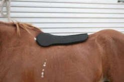 Circle Y Shoulder Bridge Pad 3/4" Or 1" -Equestrian Supply Store circle y shoulder bridge pad 3 4 or 1 3 37072.1527884105
