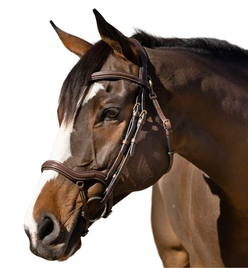 Halter Ego Deauville Anatomical Jumper Bridle 6 Halter Ego Deauville Anatomical Jumper Bridle - Image 4