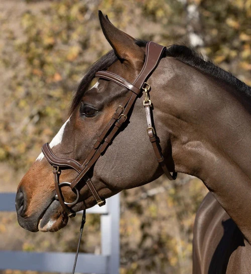 Halter Ego Deauville Anatomical Jumper Bridle 8 Halter Ego Deauville Anatomical Jumper Bridle - Image 6