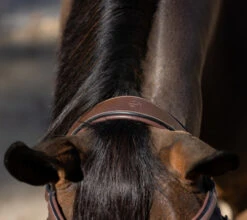 Halter Ego Deauville Anatomical Jumper Bridle 12 Halter Ego Deauville Anatomical Jumper Bridle -Equestrian Supply Store deauville jumper bridle crown halter ego 72644.1687998650