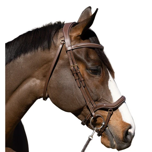 Halter Ego Deauville Anatomical Jumper Bridle 4 Halter Ego Deauville Anatomical Jumper Bridle - Image 2