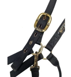 Big D Nylon Draft Halter - Snap + Adjustable Chin 9 Big D Nylon Draft Halter - Snap + Adjustable Chin -Equestrian Supply Store draft halter black hardware big d mtf 63256.1649965248