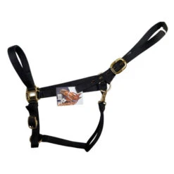 Big D Nylon Draft Halter - Snap + Adjustable Chin 8 Big D Nylon Draft Halter - Snap + Adjustable Chin -Equestrian Supply Store draft halter black side big d mtf 52393.1649965225