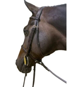DziaSport Easy-Off Standing Martingale 7 DziaSport Easy-Off Standing Martingale -Equestrian Supply Store easy off martingale brown chin dzia sport 22396.1635963391